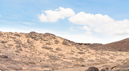 Fototapeta na wymiar the beautiful desert pathway on view clear sky background