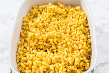 Macaroni and cheese with broccoli