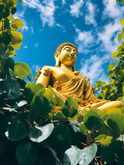 Golden Buddha