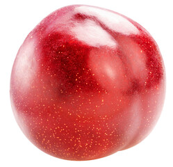 Plum fruit on white background, Red Plums Isolate in white PNG File.