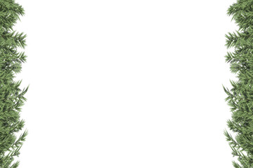 Digital png illustration of plant leaves side borders on transparent background