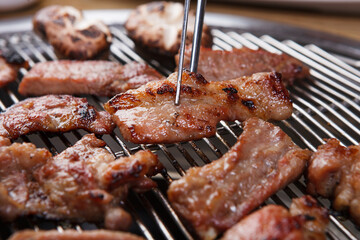 grilled meat on the grill