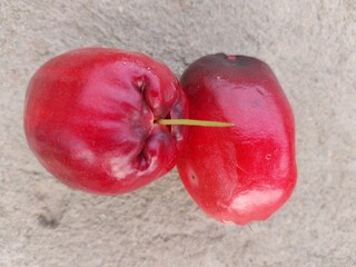 White bol guava or Malay apple (Syzygium malaccense) contains nutrients such as protein, fat, fiber, calcium, phosphorus, carotene, vitamin A, vitamin B1, B2, ascorbic acid.