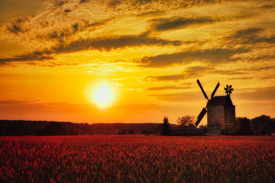 Windmill - Sunset - Farmland - Sunrise - Summer - Countryside - Landscape - Germany - Brandenburg  - Colorful - Clouds - Sky - Background - Paltrockwindmühle - Windmühle -Sallow 