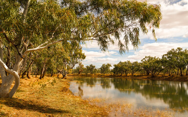 A creek passing through typical Australian gum trees in Camooweal National Park in Queensland,...