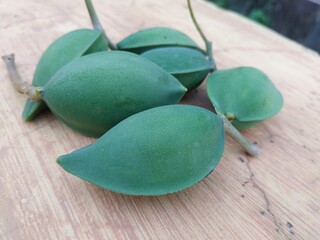 Ketapang fruit (Terminalia catappa) is useful as a beauty and herbal ingredient.