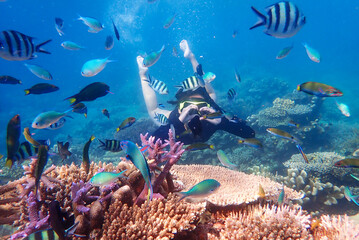 Young woman snorkeling exploring underwater coral reef landscape background in the deep blue ocean...