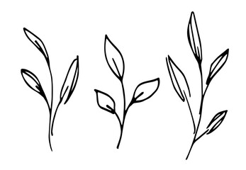 Twigs with leaves. Vegetation and nature. Branches, foliage. Simple black outline vector drawing. Sketch in ink.