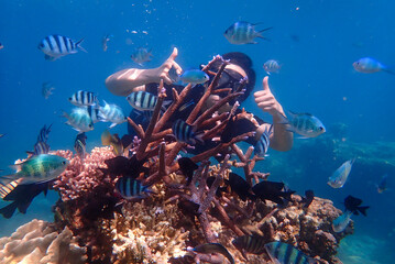 Young woman snorkeling exploring underwater coral reef landscape background in the deep blue ocean with colorful fish and marine life