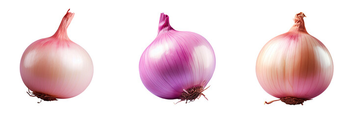 Fresh onion on transparent background