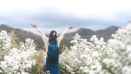 Rear view woman traveler with backpack spread open arms standing at outdoors white flower park - obrazy, fototapety, plakaty