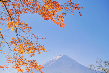 Colorful Autumn Season,japan