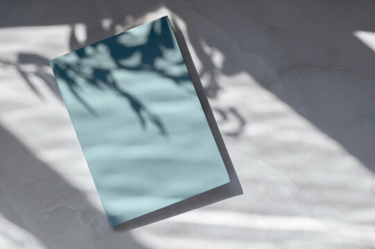 Closed notebook with blue blank cover mock up on white table with natural floral sun light shadows. Aesthetic minimalist company business branding template