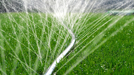 Close-up of jets and splashes, watering the lawn with a hose. Automatic equipment for irrigation...