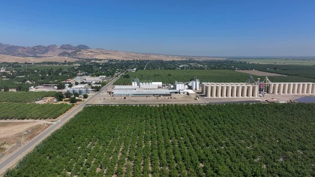 Aerial Sutter California rice grain elevator walnut orchard slide 1. Economy based on farming rice, grains, walnuts peaches and cattle ranch. Fields act as wetlands for waterfowl and birds.