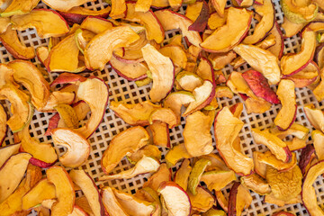 dried apple. eco food