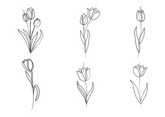 Continuous one line art drawing of beauty tulips flower