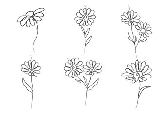 Continuous one line art drawing of beauty daisy flower