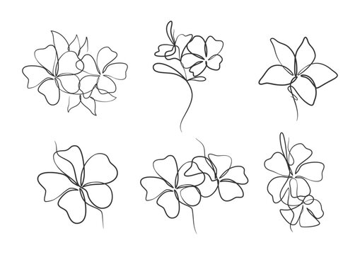 Continuous one line art drawing of beauty champa flower
