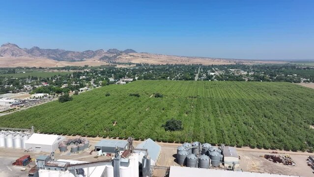 Aerial Sutter California rice grain elevator nut orchard pull 2. Economy based on farming rice, grains, walnuts peaches and cattle ranch. Fields act as wetlands for waterfowl and birds.