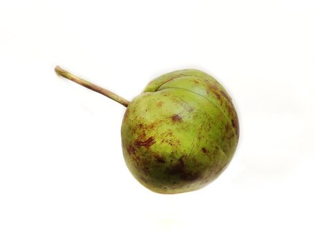 Elephant apple is a fruit native to China, India, and tropical Asia. It is found in stony river banks. It is used in curries, pickles, jams and jellies due to it's distinct sweet and sour taste. 