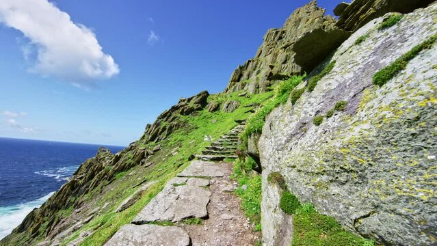 Island with seagull taking flight. Skellig Michael Ireland