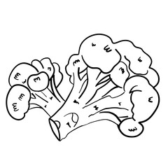 bloccoli drawing line