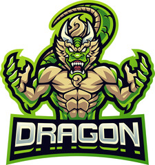 Dragon fighter esport mascot