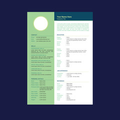 Awesome CV / Resume template - elegant stylish beautiful design - green color background vector