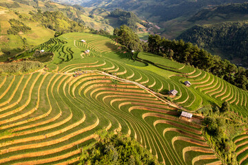 Mu Cang Chai rice terrace in beautiful sun light. Asia nature agriculture background. Vietnam landscape