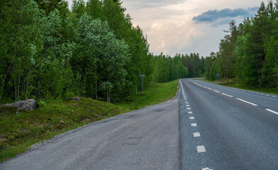 Asphalt road in nice coniferous forest.