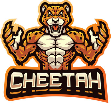 Cheetah fighter esport mascot
