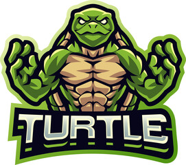 Turtle fighter esport mascot