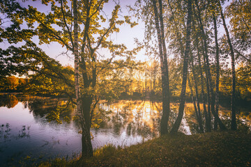 Sunrise near the pond with birches on a sunny autumn morning. Vintage film aesthetic.