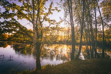 Zelfklevend Fotobehang Sunrise near the pond with birches on a sunny autumn morning. Vintage film aesthetic. © Eugene_Photo