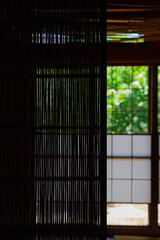 Garden(庭の景色)
