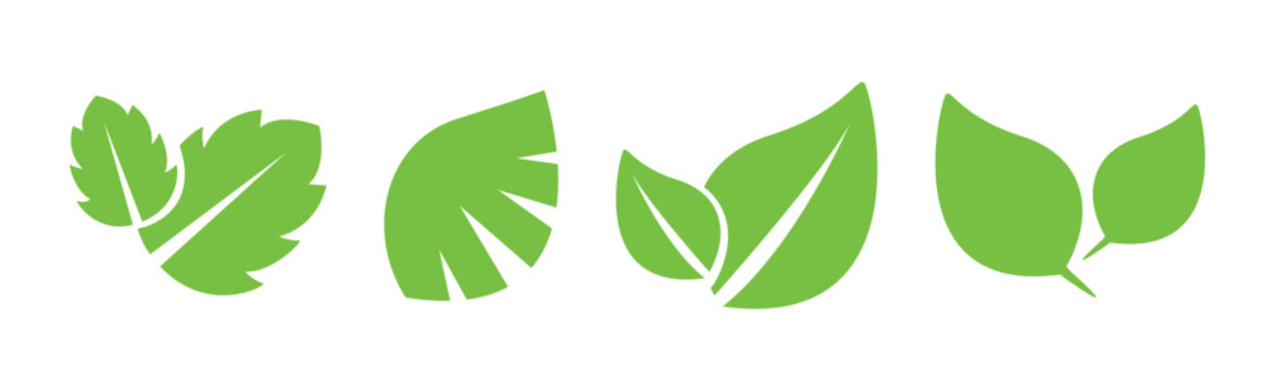Green Leaf Icons as Nature and Foliage Element Vector Set