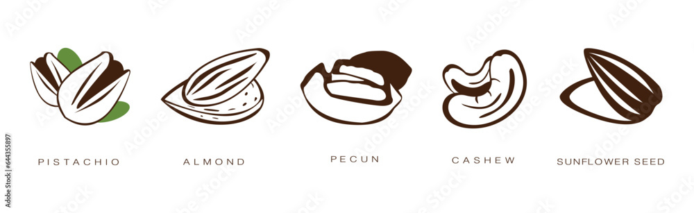 Poster seed and nuts brown flat icon with name and inscription vector set