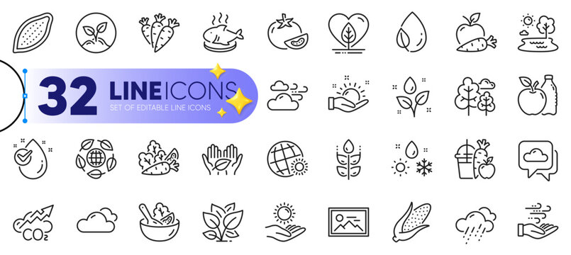 Outline set of Corn, Sunny weather and Startup line icons for web with Water drop, Apple, Gluten free thin icon. Windy weather, Salad, Co2 pictogram icon. Cocoa nut, Plants watering, Photo. Vector