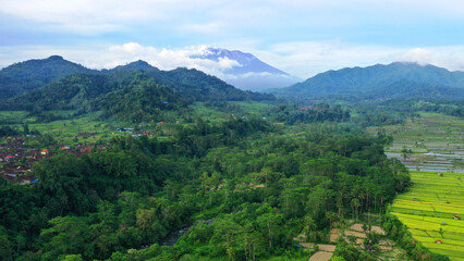 landscape with trees and clouds, rural views of east bali
