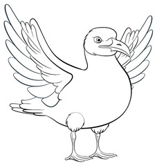 Seagull Ready to Fly