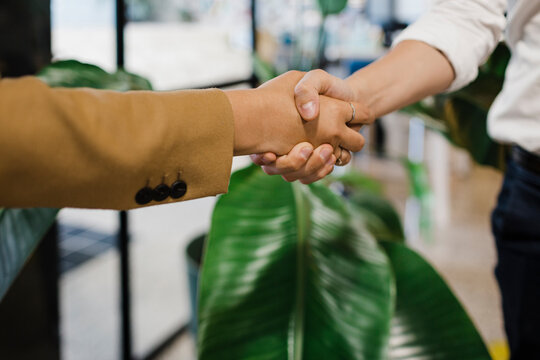 Businesswoman doing handshake with colleague at office