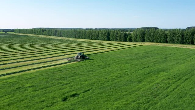 Agronomist on tractor with mower mows fresh green grass for silage, livestock feed or hay. Farmer work on agricultural field at summer. Aerial view in movement