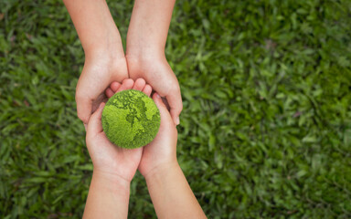world environment day hand holding green globe on green background Environmental protection and...