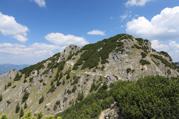 Obraz premium Grünbehangener Berg