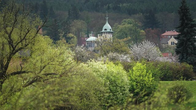 Spring in rural Czechia. Blooming fruit trees and bright green fresh leaves. Houses in the background. Slow-motion, parallax shot.