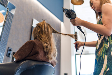Hairdresser combing hair of customer with hairbrush in salon