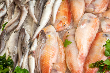 Fresh sea fish, fish market in Palermo, Sicily, Italy.