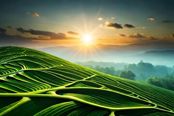 amazing sunrise over the field generated by ai