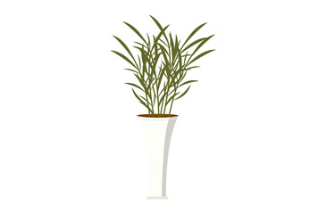 House and home plant. Vector illustration. Room decoration gardening offers countless possibilities to show off your home plant in flowerpot A stylish planter and pot can dramatically enhance